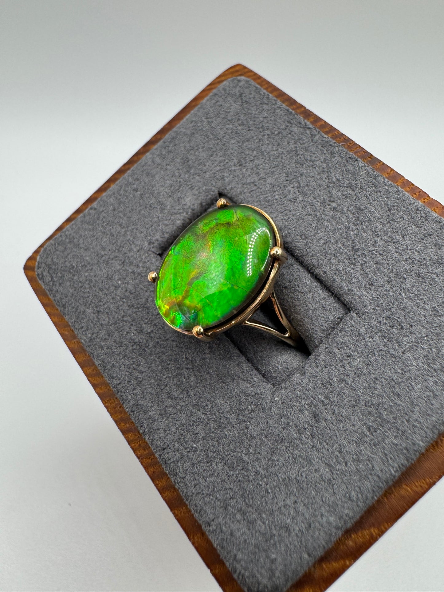 9ct gold ammolite ring