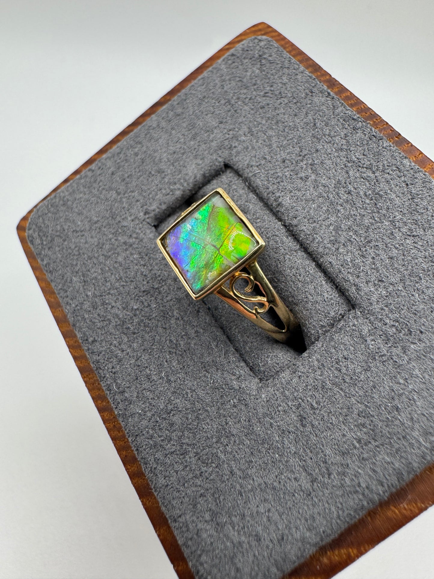 9ct gold ammolite ring