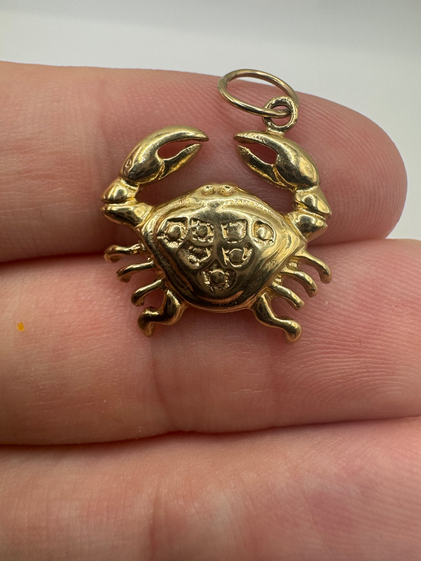 9ct gold Cancer zodiac pendant