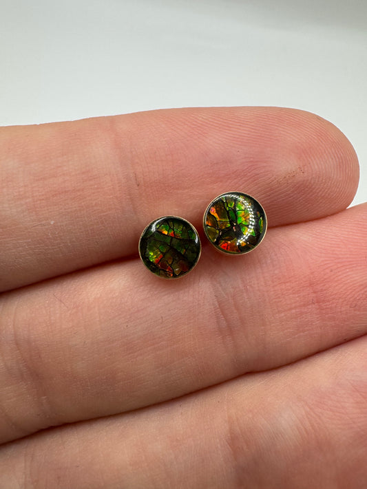 14ct gold Ammolite earrings